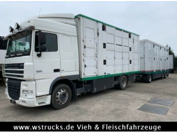 Tiertransporter LKW DAF XF 105/410 SC Menke 3 Stock Vollalu Komplett: das Bild 1