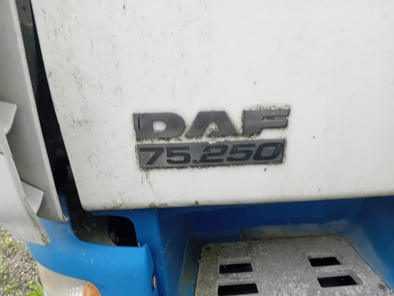 Koffer LKW DAF CF 75.250