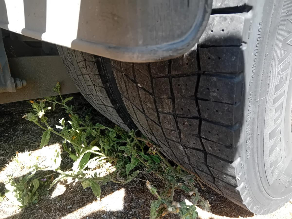 Koffer LKW Mercedes Axor 1829