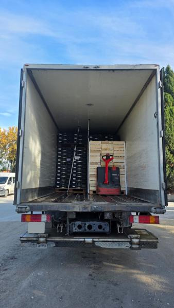 Kühlkoffer LKW Mercedes Atego 1823