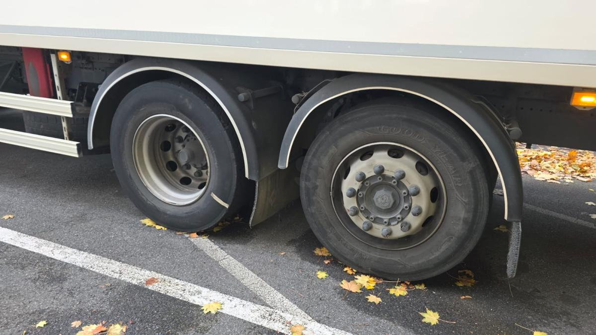 Kühlkoffer LKW Scania P 320