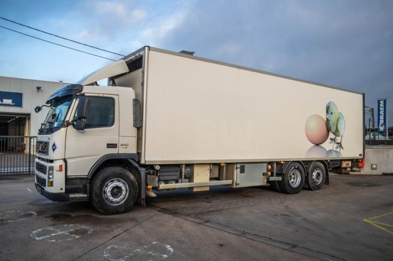 Kühlkoffer LKW Volvo FM340+POUSSIN/CHICKEN/KUIKEN/KÛKEN