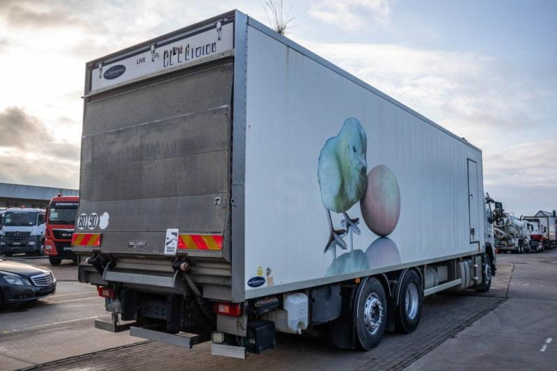 Kühlkoffer LKW Volvo FM340+POUSSIN/CHICKEN/KUIKEN/KÛKEN