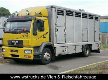 Tiertransporter LKW MAN 15.220 Menke Einstock: das Bild 1