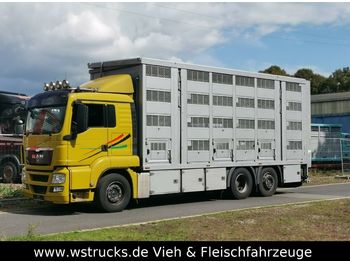 Tiertransporter LKW MAN 26.440 LX Menke 4 Stock Ladelift Hubdach: das Bild 1