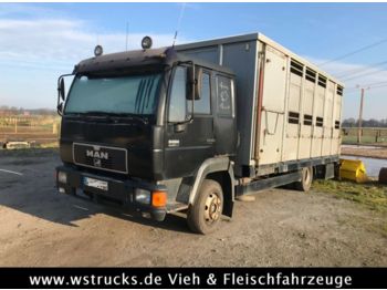 Tiertransporter LKW Für die Beförderung von Tiere MAN 8.224 mit Enstock Alu: das Bild 1
