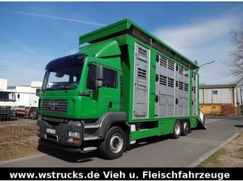 Tiertransporter LKW MAN TGA 26.350 Finkl 3 Stock Lift Hubdach: das Bild 1