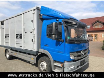 Tiertransporter LKW Mercedes-Benz Atego 1224 Menke Einstock Vollalu: das Bild 1