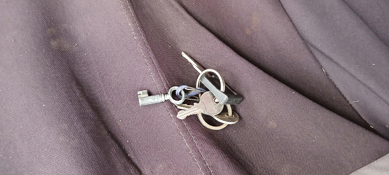 Pferdetransporter RENAULT M180 PORTEUR BETAILLERE