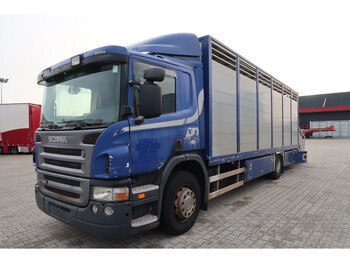 Tiertransporter LKW Scania P320: das Bild 1