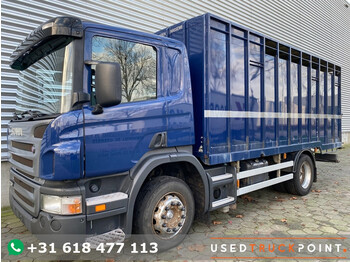 Tiertransporter LKW Scania P 230 / Full Steel / Manaul / 260.000 KM!! / TUV: 10-2023 / Belgium Truck: das Bild 1