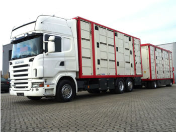 Tiertransporter LKW Scania R480 6X2/ 3-Stock Menke / Ledersitze: das Bild 1
