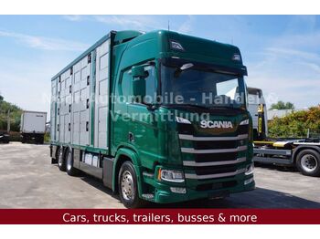 Tiertransporter LKW Scania R500 LL HighLine *4Stock-Menke/Retarder/LenkLift: das Bild 1
