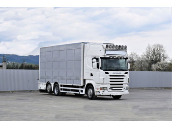 Tiertransporter LKW Scania R 500 TIERTRANSPORTWAGEN 7,10m / 4STOCK: das Bild 2