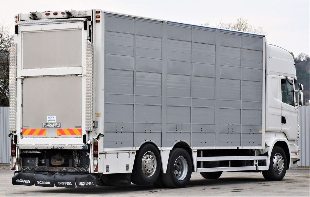 Tiertransporter LKW Scania R 500 TIERTRANSPORTWAGEN 7,10m / 4STOCK: das Bild 5