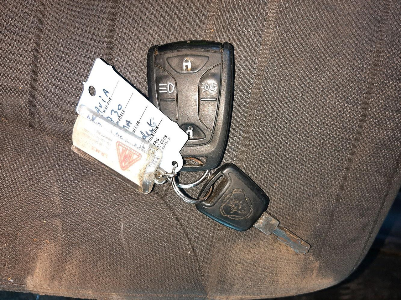 Tiertransporter LKW SCANIA R730 PORTEUR BETALLIERE