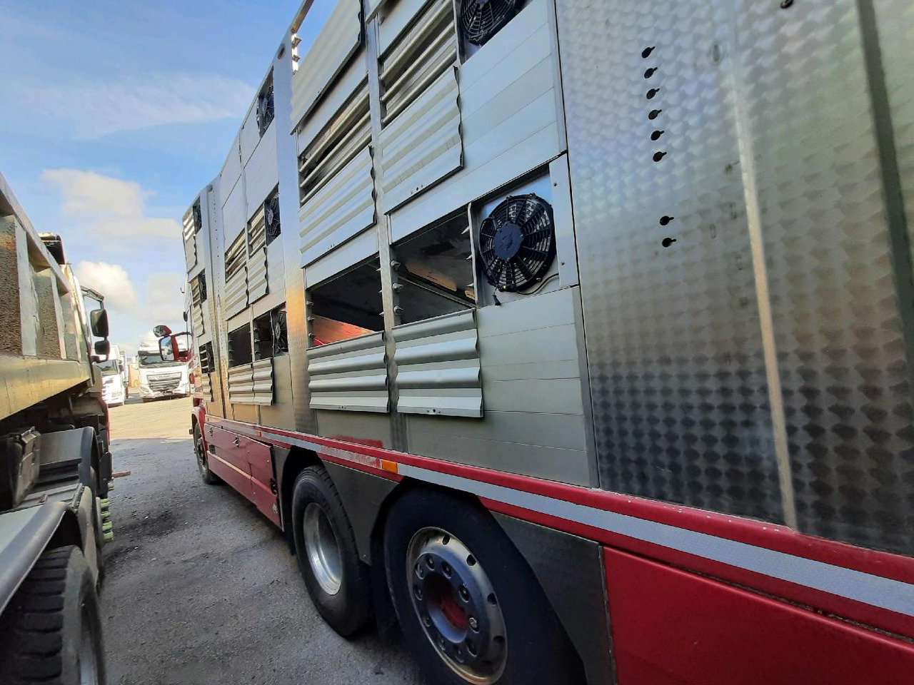 Tiertransporter LKW SCANIA R730 PORTEUR BETALLIERE