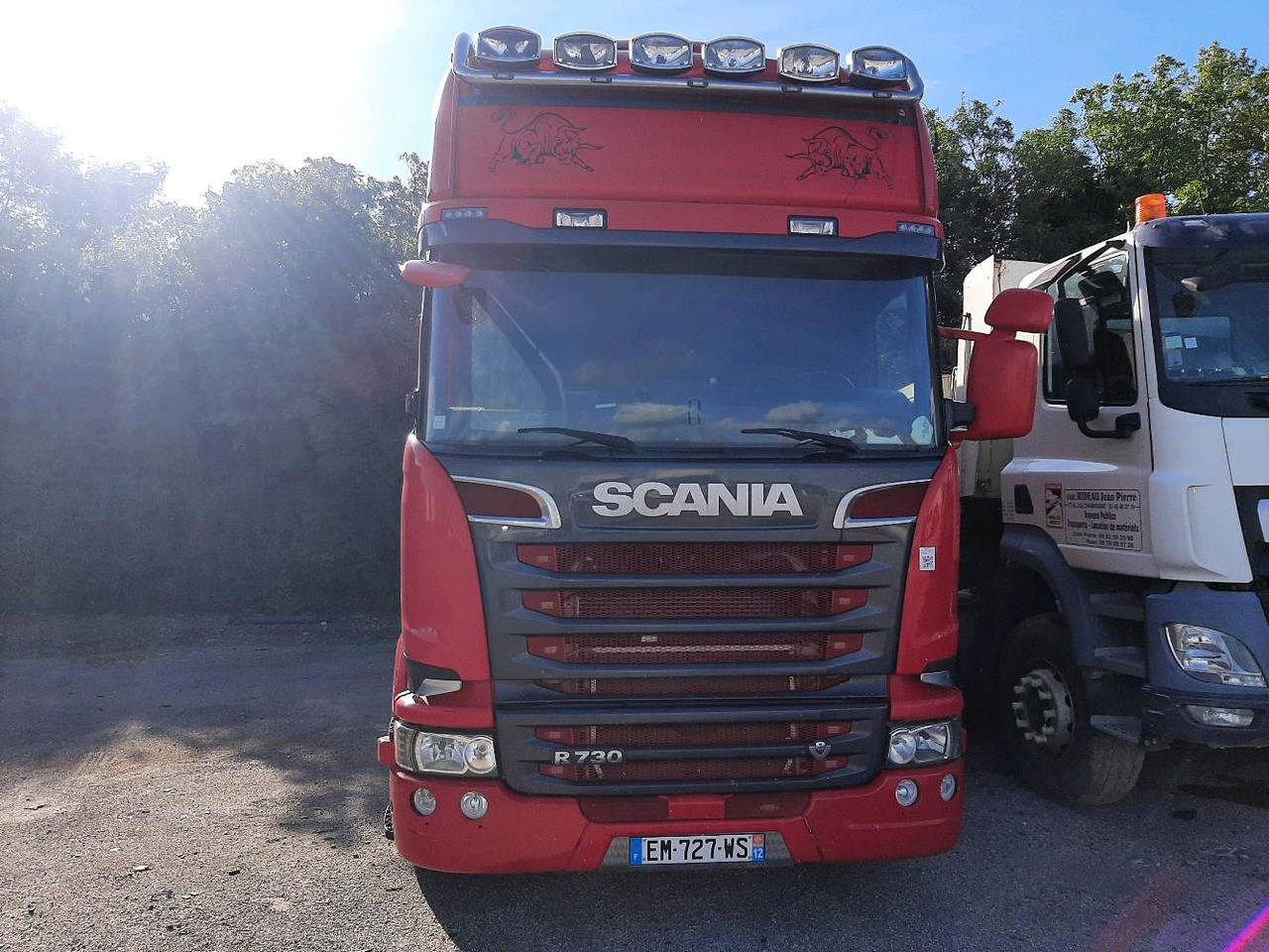 Tiertransporter LKW SCANIA R730 PORTEUR BETALLIERE