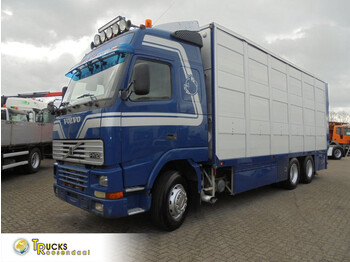 Tiertransporter LKW Volvo FH 12.520 + Manual + 6x2 + Animal transport + Euro 2 + blad-blad: das Bild 1