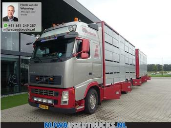 Tiertransporter LKW Volvo FH 480 Berdex veewagen combinatie: das Bild 1