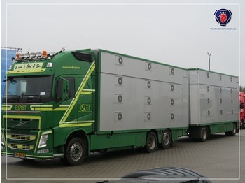 Tiertransporter LKW Volvo FH 540 COMBI | EURO 6 | I-SHIFT| 3 DEKS | 3 STOCK livestock: das Bild 1
