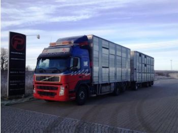 Tiertransporter LKW Volvo FM12 420 Animal transport with henger - Euro 3: das Bild 1