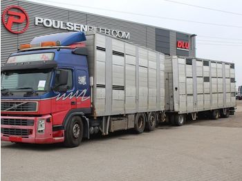 Tiertransporter LKW Volvo FM 420 6x2: das Bild 1