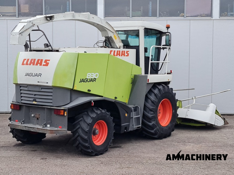 Feldhäcksler Claas Jaguar 830 profistar