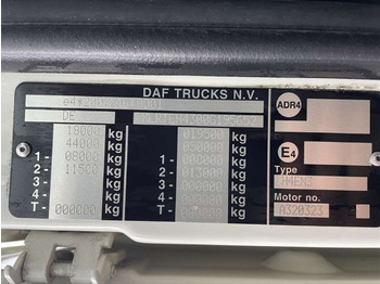 DAF XF 105.480  - Sattelzugmaschine: das Bild 5