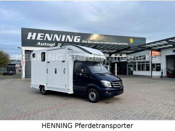 MERCEDES-BENZ Sprinter Pferdetransporter