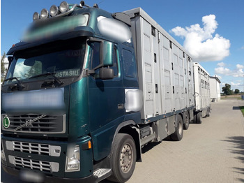 VOLVO FH12 Tiertransporter LKW