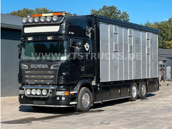 Scania R730 V8 6x2 2.Stock Stehmann + Hubdach, Vollluft  - Tiertransporter LKW: das Bild 1