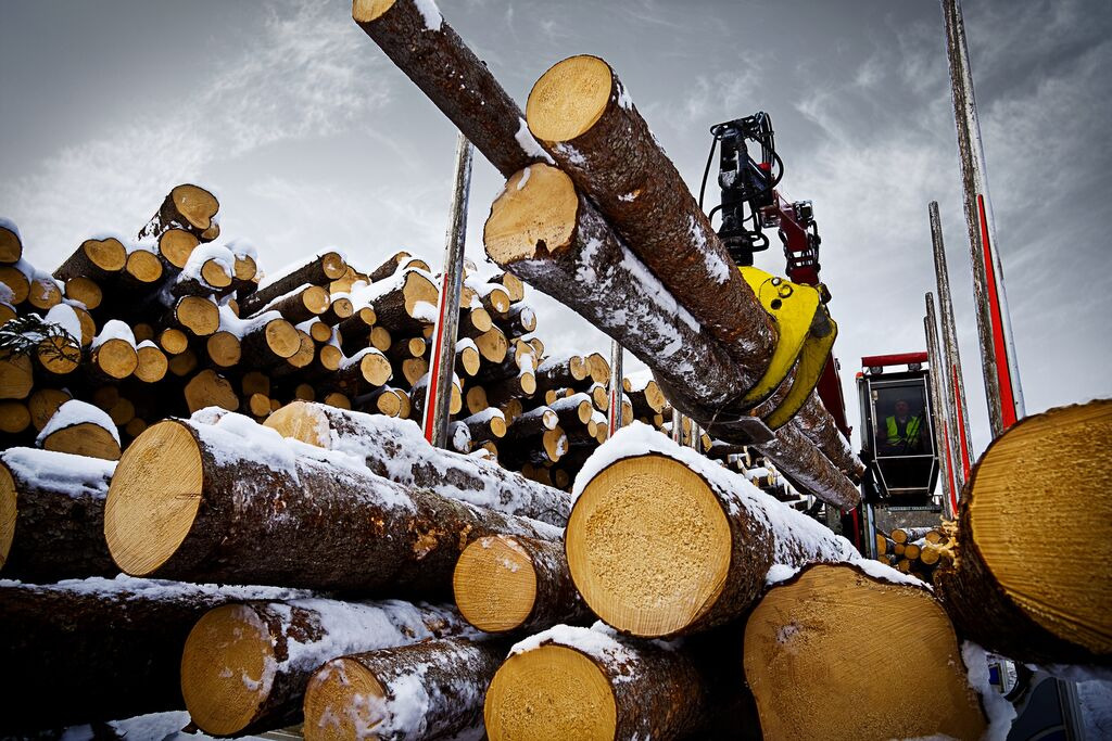 Tractoaredepadure.ro undefined: das Bild 8