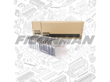 IVECO Kurbelwellenlager