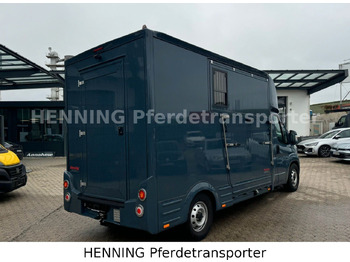 Tiertransporter LKW Fiat Ducato *AUTOMATIK* 3 - Sitzer: das Bild 3 Tiertransporter LKW Fiat Ducato *AUTOMATIK* 3 - Sitzer: das Bild 3