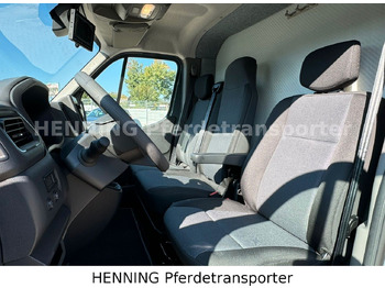 Tiertransporter LKW Nissan Interstar 3 - Sitzer: das Bild 5 Tiertransporter LKW Nissan Interstar 3 - Sitzer: das Bild 5