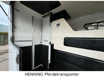 Tiertransporter LKW Renault Master 5 - Sitzer: das Bild 4 Tiertransporter LKW Renault Master 5 - Sitzer: das Bild 4