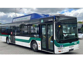 MAN Lion's City A21 Linienbus