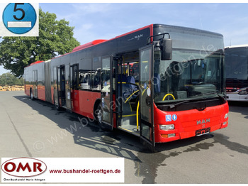 MAN Lion's City A23 Gelenkbus