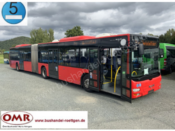 MAN Lion's City A23 Gelenkbus