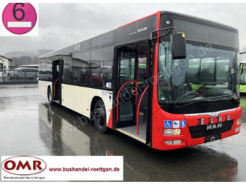 MAN Lion's City A37 Linienbus