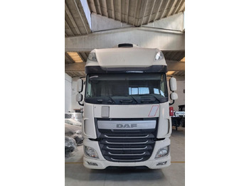 DAF XF 440 Containerwagen/ Wechselfahrgestell LKW