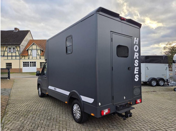 Pferdetransporter MSG Stablehopper Pferdetransporter Pferdeanhänger Böckmann: das Bild 4