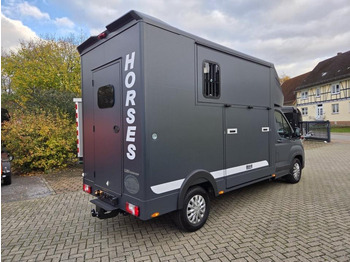 Pferdetransporter MSG Stablehopper Pferdetransporter Pferdeanhänger Böckmann: das Bild 3