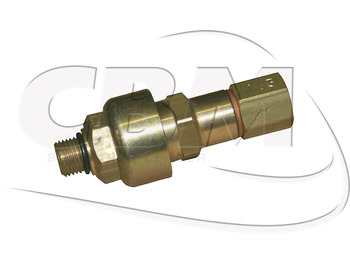 IRISBUS Tür und Teile