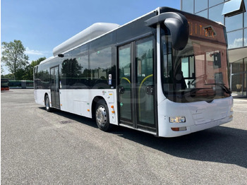 MAN Lion's City A21 Linienbus