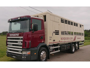 SCANIA 124 Tiertransporter LKW