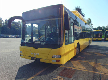 Linienbus N.2 MAN A21 CNG – Anno 2010: das Bild 3