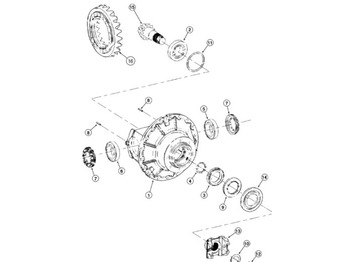 CASE Differenzial Getriebe