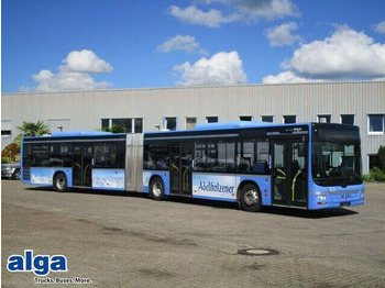MAN Lion's City A23 Gelenkbus